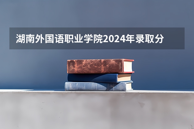 湖南外国语职业学院2024年录取分数线汇总